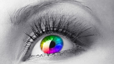 Beautiful colorful eye close up